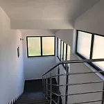 Iva ברודאריצה